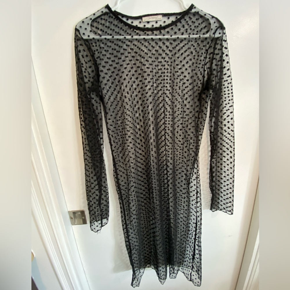 Zara Trafaluc Autumn Winter Sheer Black Polka Dot Dress Woman’s Size Small